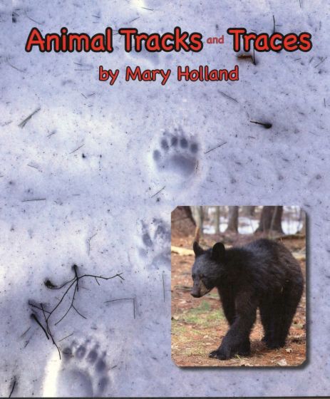 Animal Tracks & Traces (Animal Anatomy & Adaptations Series) 