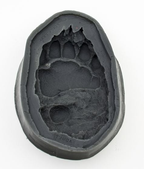 Bear (Black) Track Mold: Adult Front
