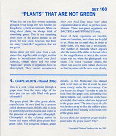 “Plants” That Are Not Green (Microslide® Lesson Set)