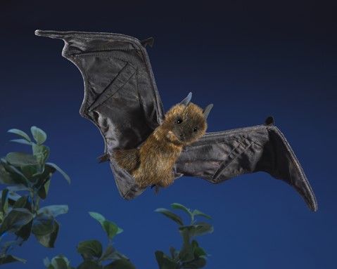 Bat (Fruit) Puppet
