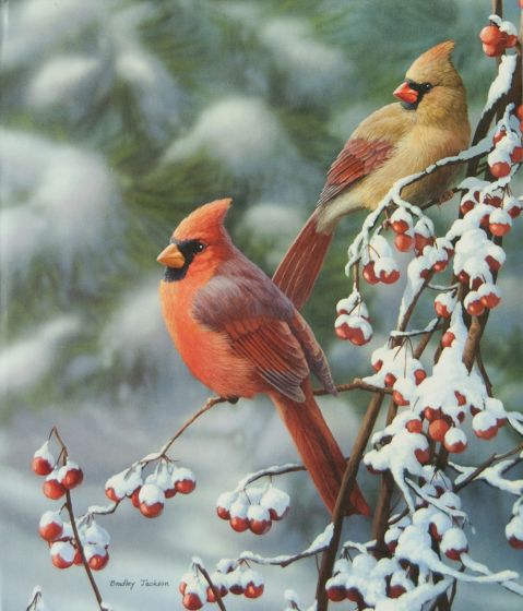 Winter Cardinals Christmas Register