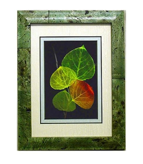 Aspen Leaf Shadowbox Framed Art