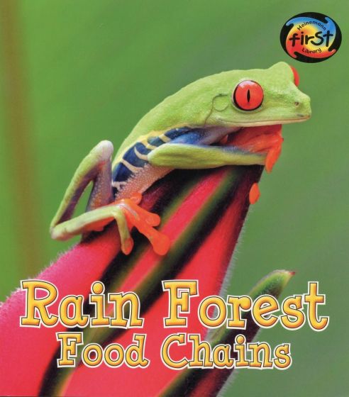 Rain Forest Food Chains