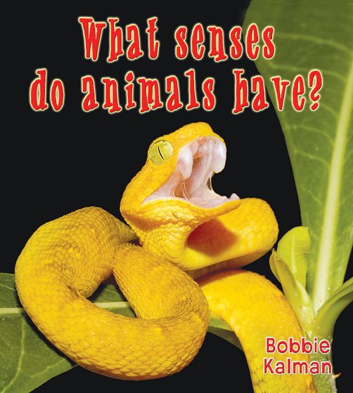 Senses: What Senses Do Animals Have? (Big Science Ideas Series)