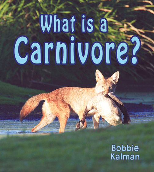 What Is A Carnivore? (Big Science Ideas Series)