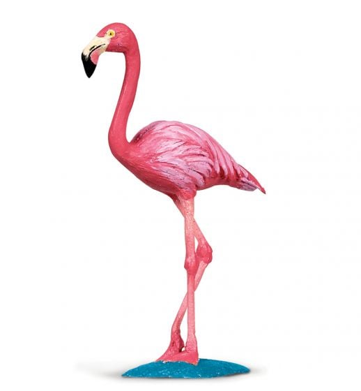 Flamingo Model