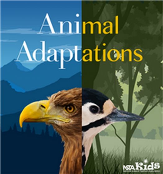 Animal Adaptations (NSTA Kids)