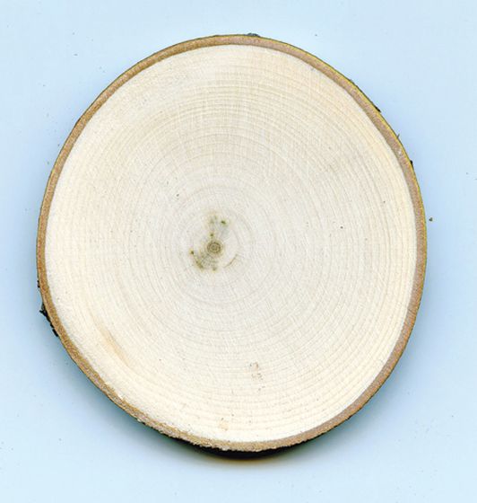 Maple Tree Round