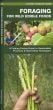 Foraging for Wild Edible Foods (Pocket Naturalist® Guide)