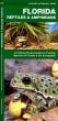 Florida Reptiles & Amphibians (Pocket Naturalist® Guide)