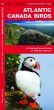 Atlantic Canada Birds (Pocket Naturalist® Guide)