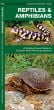 Reptiles & Amphibians (Pocket Naturalist® Guide)
