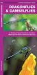 Dragonflies And Damselflies (Pocket Naturalist® Guide).