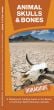 Animal Skulls & Bones: A Waterproof Pocket Guide to the Bones of Common North American Animals (Duraguide®)