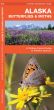 Alaska Butterflies & Moths (Pocket Naturalist® Guide)