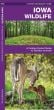 Iowa Wildlife (Pocket Naturalist® Guide)