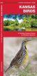 Kansas Birds (Pocket Naturalist® Guide)