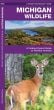 Michigan Wildlife (Pocket Naturalist® Guide)