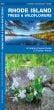Rhode Island Trees & Wildflowers (Pocket Naturalist® Guide)