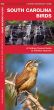 South Carolina Birds (Pocket Naturalist® Guide)