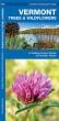 Vermont Trees & Wildflowers (Pocket Naturalist® Guide)