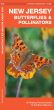 New Jersey Butterflies & Pollinators (Pocket Naturalist® Guide)