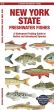 New York State Freshwater Fishes (Pocket Naturalist® Guide)