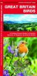Great Britain Birds (Pocket Naturalist® Guide)