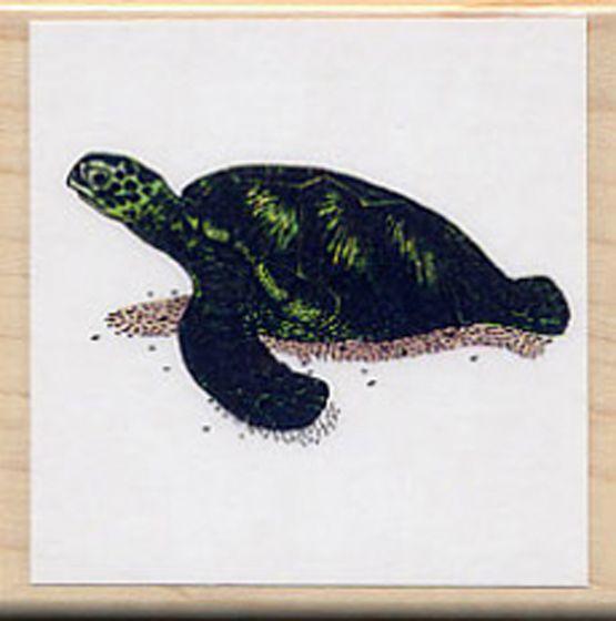 Turtle (Green Sea) Rubber Stamp