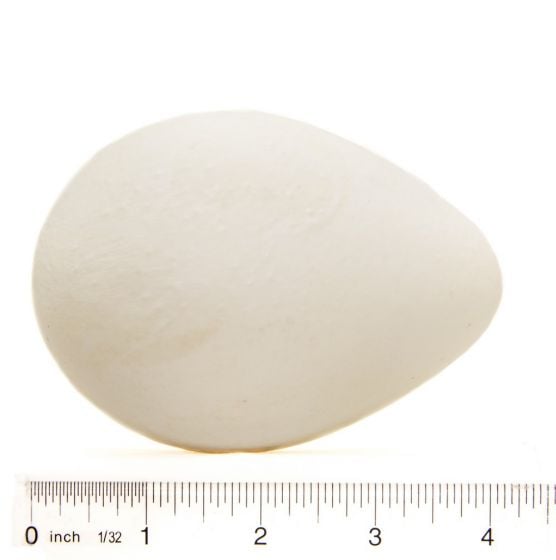 Penguin (King) Egg Replica