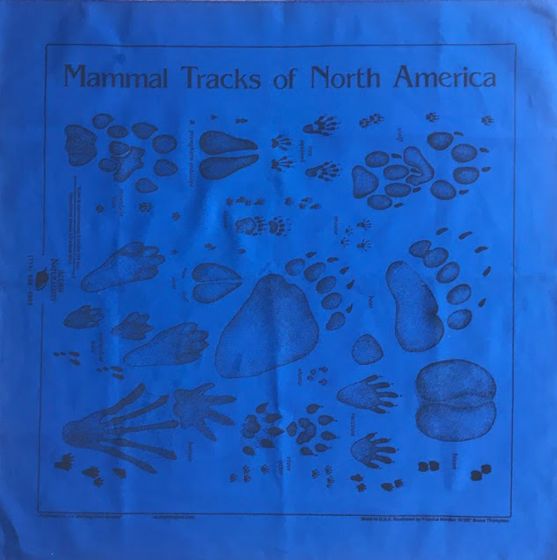 Animal Track Scarf: Royal Blue (Acorn Naturalists' Identification Bandana)