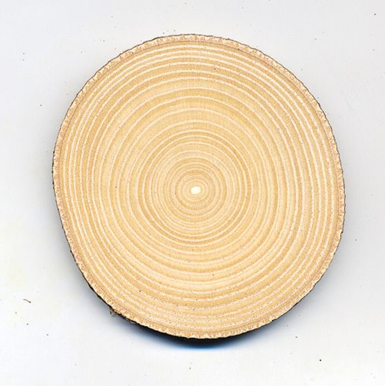 Ash (White) Tree Round