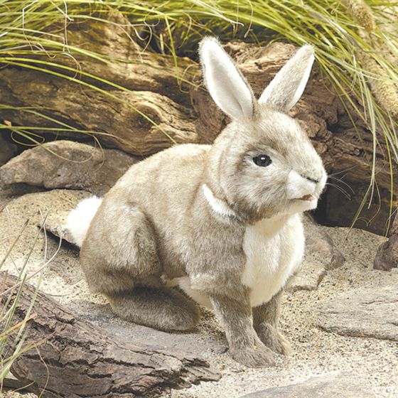Rabbit (Cottontail) Puppet