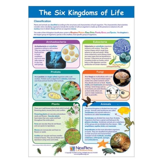 The Six Kingdoms of Life (Laminated Poster)