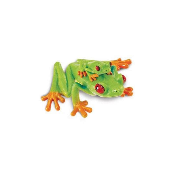 Tree Frog (Red-Eyed)  Model