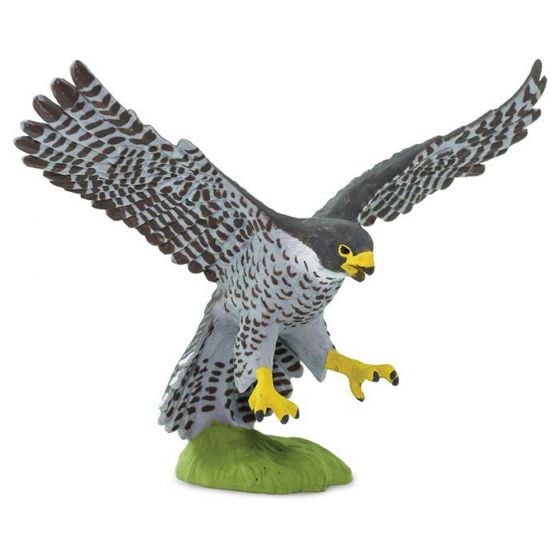 Falcon (Peregrine) Model