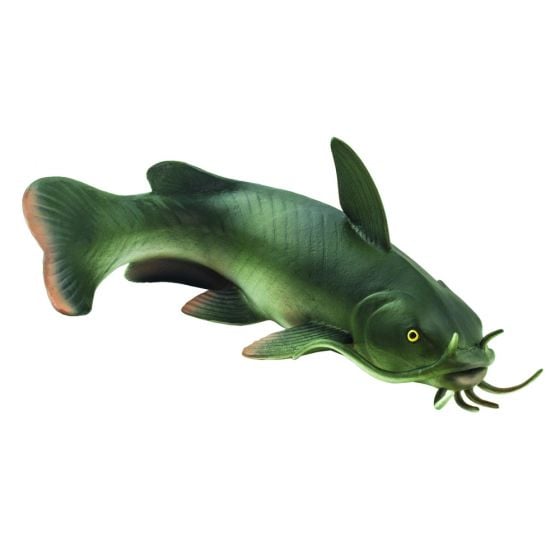 Catfish Model