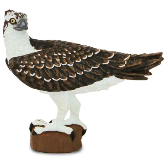 Osprey Model