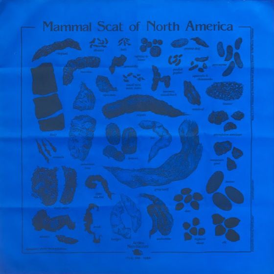 Animal Scat Scarf: Royal Blue (Acorn Naturalists' Identification Bandana)