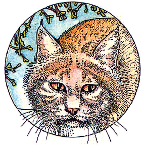 Bobcat Rubber Stamp