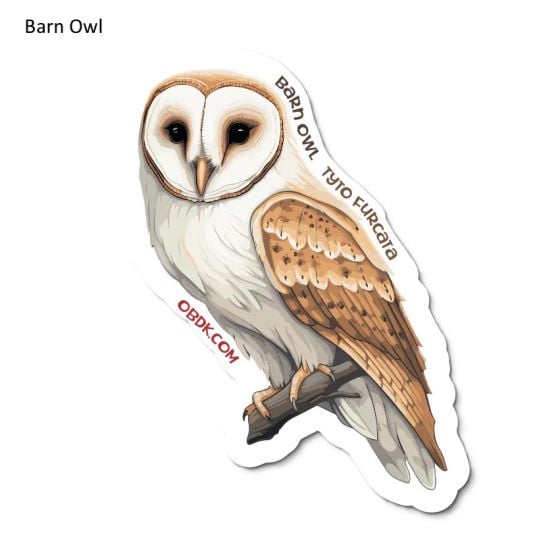 Barn Owl Sticker Pack (10 Stickers)