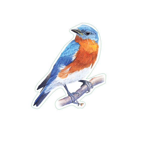Bluebird Sticker Pack (10 Stickers)