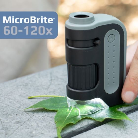 MicroBrite® Pocket LED Microscope (60x - 120x)