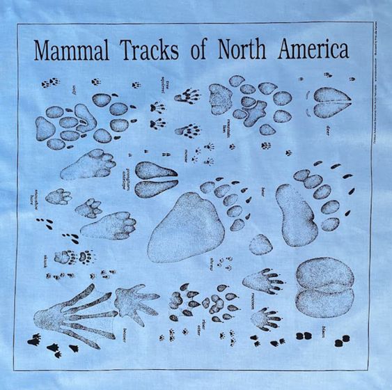 Animal Track Scarf: Light Blue (Acorn Naturalists' Identification Bandana)