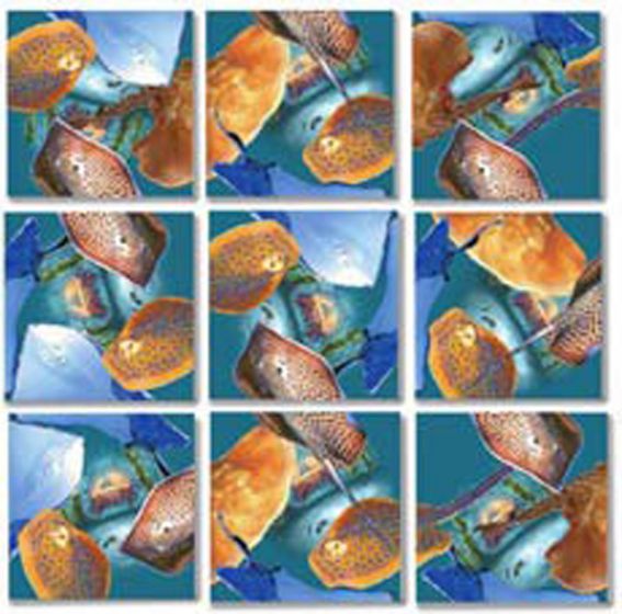 Stingrays Scramble Squares