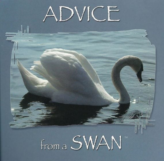 Advice From A Swan™ Wing Tips™ Greeting Card