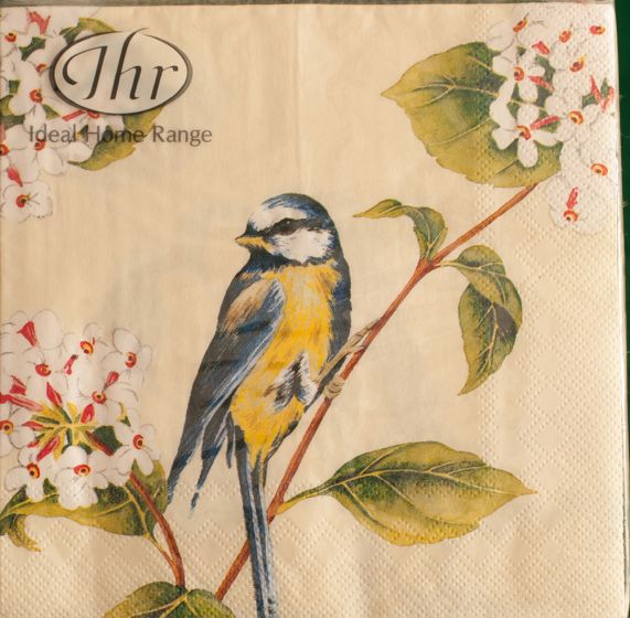 Early Bird Lunch Napkins