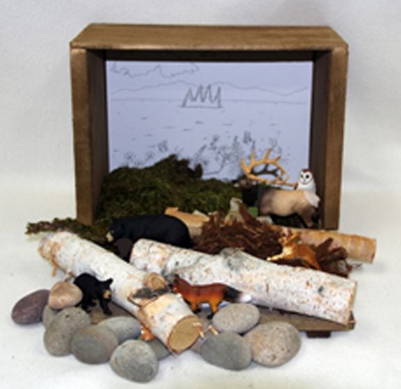 Meadow Diorama (Create-A-Scene® Habitat Diorama Kit)