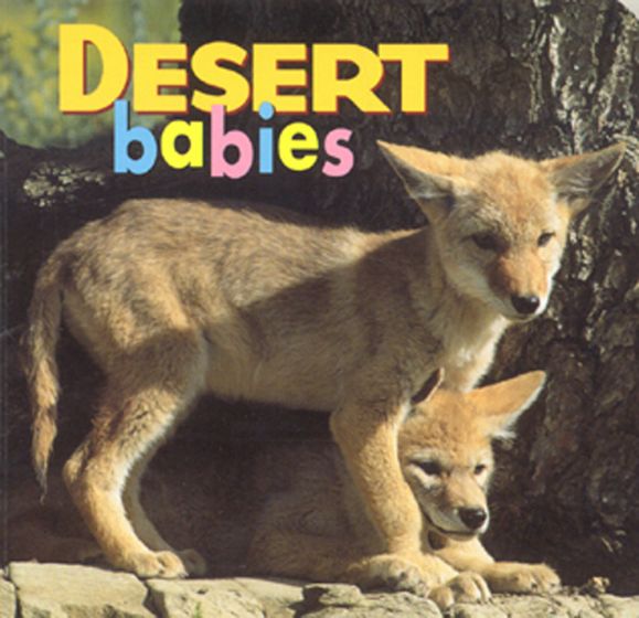 Desert Babies (Board Book)