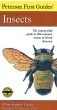Insects (Peterson First Guide)